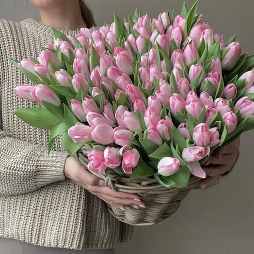 Pink tulips in basket