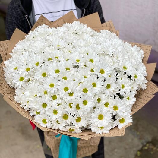 Хризантема кустовая