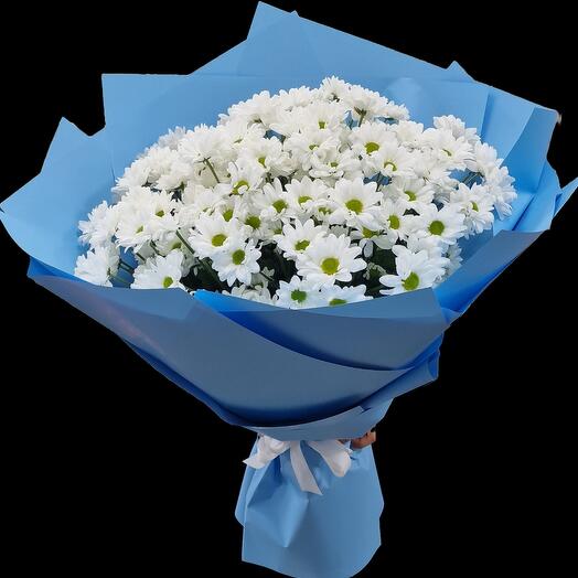 Хризантемы