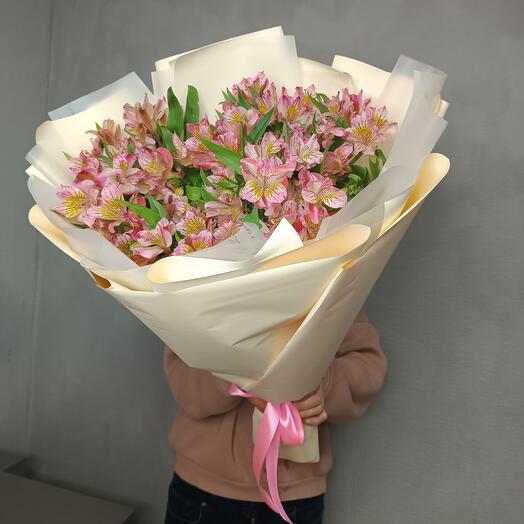 Alstroemeria 17