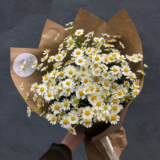 Охапка ромашек/Chamomile bouquet