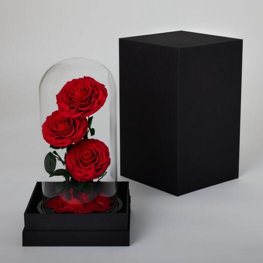 Preserved roses in glas 1