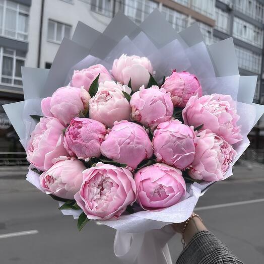 Шикарные розовые итальянские пионы.. 15 шт
