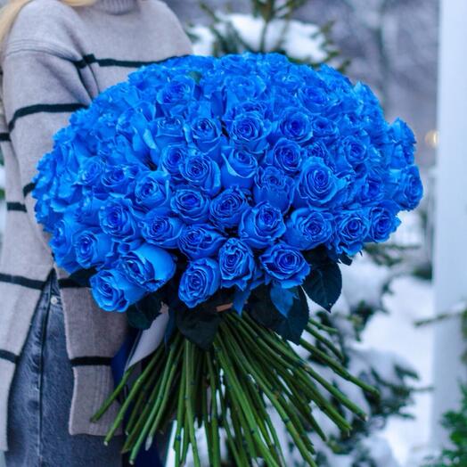 101 Blue rose