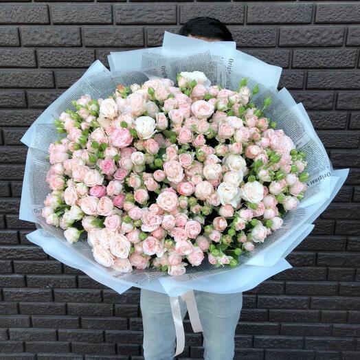 51 кустовая пионовионая Роза💗