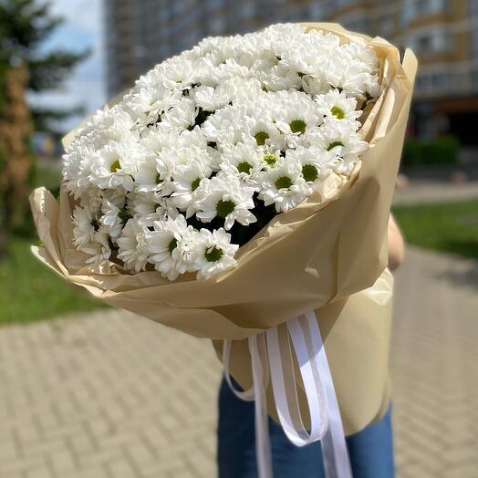 Монобукет из 13 хризантем бакарди