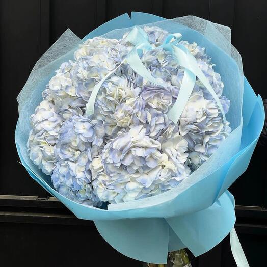Blue hydrangeas