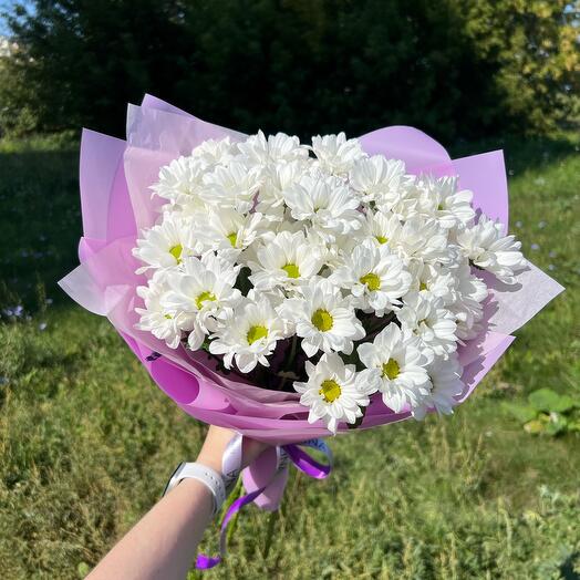 Белые кустовые хризантемы как ромашки