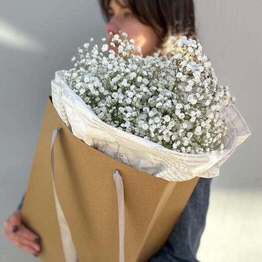 Countess Gypsophila (in a craft package)