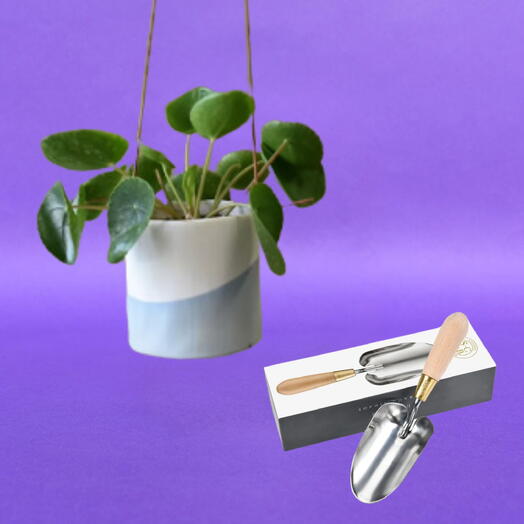 The Pilea   Trowel Duo