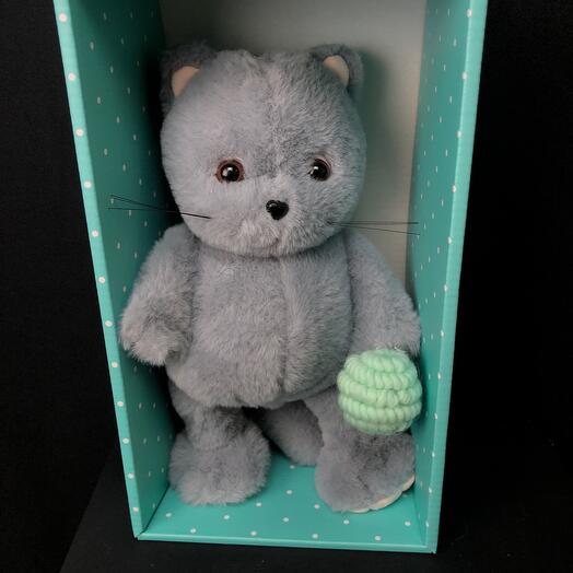 Кот шанти с клубком