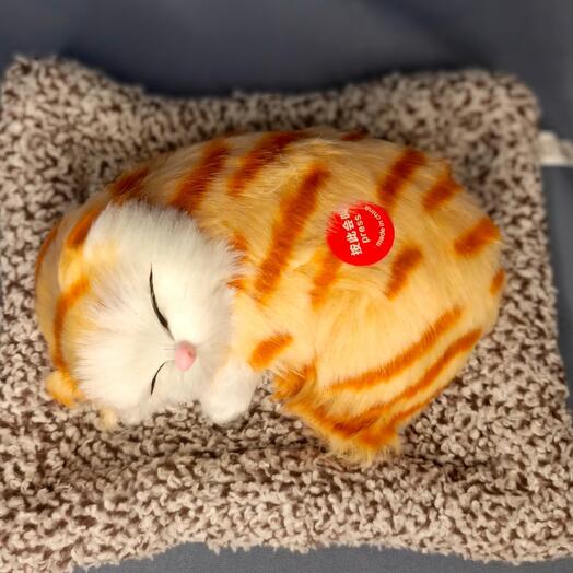 Игрушка Поющая кошка