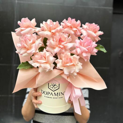 Қызғылт фламинго