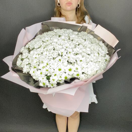 Кустовые хризантемы