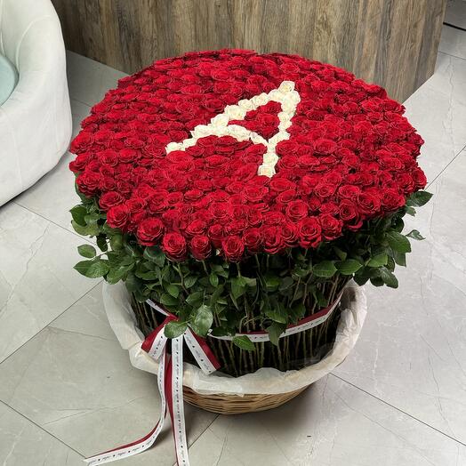 Red flower basket