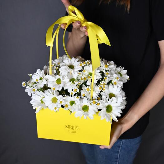Sunny handbag with daisies