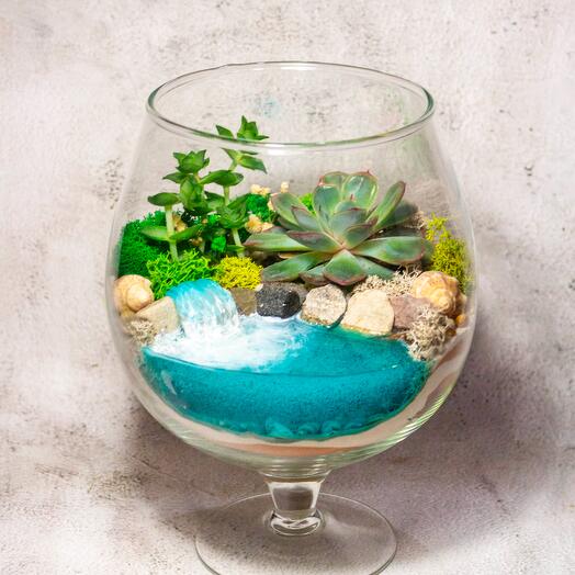 Флорариум S. Оазис в бокале