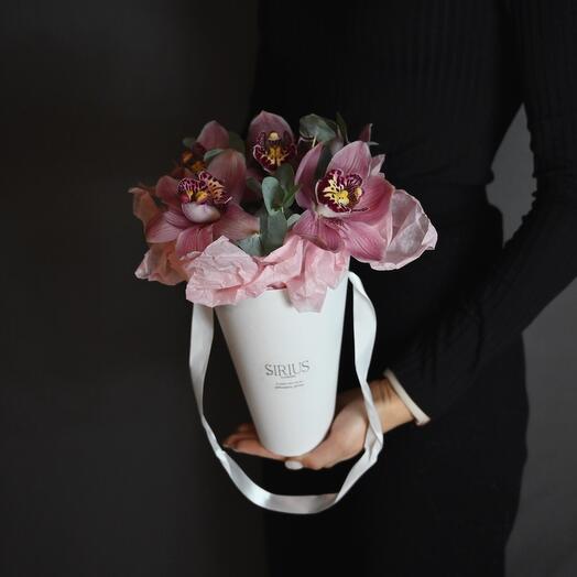 Composition with an orchid