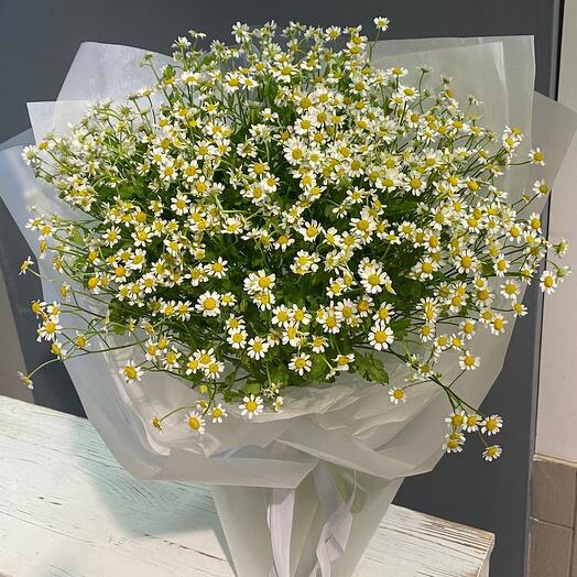 Air daisies😍