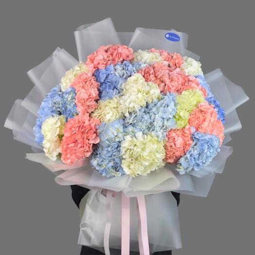 Букет из 25 Гортензии микс