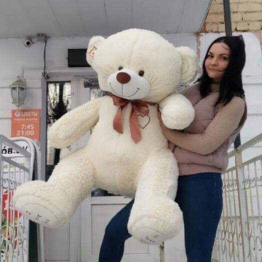 Медведь большой
