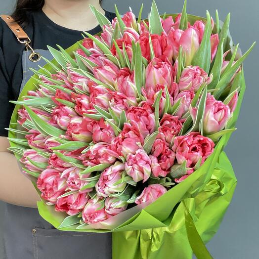 51 розовый тюльпан