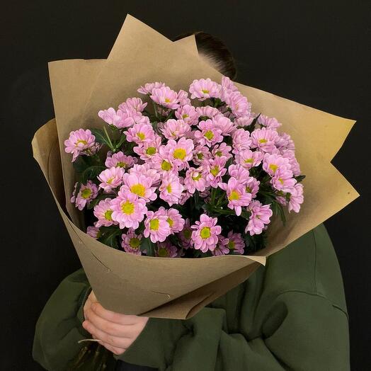 Моно 9 фиолетовых хризантем
