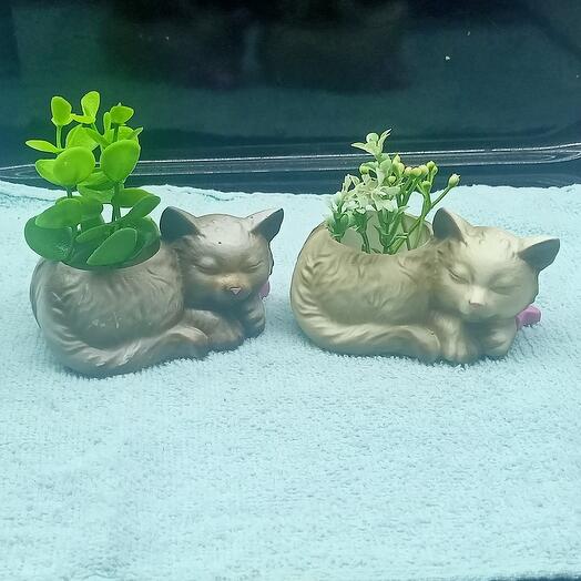 Набор из двух кашпо "Милые котятки"