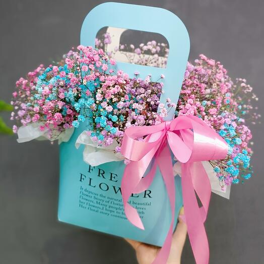 Rainbow gypsophila in her purse