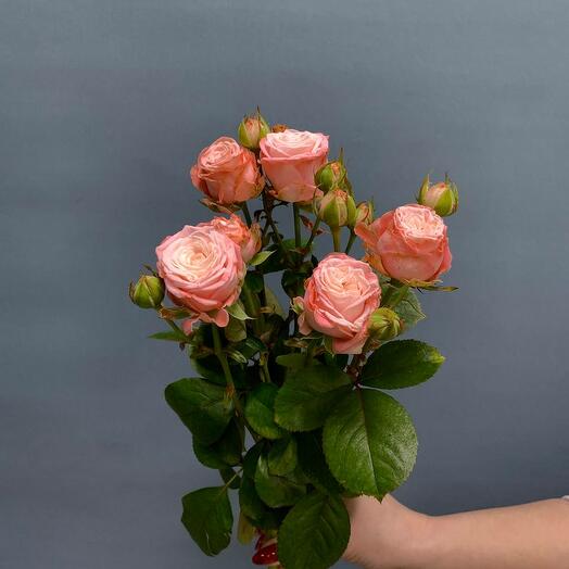 Мадам бамбастик