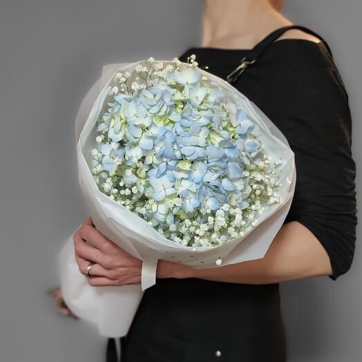 Pequeña nube esponjosa de Hortensia azul y gypsophila blanca