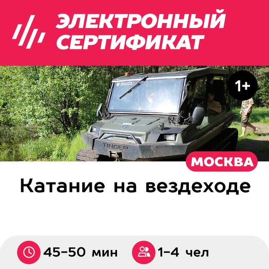 Тур на вездеходе Tinger для 1-4 человек вокруг озера с остановкой (Московская область)