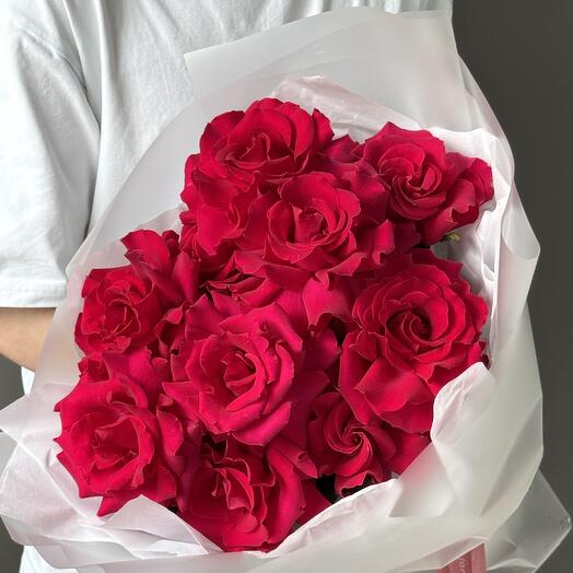 French roses "Pink Energy" 11