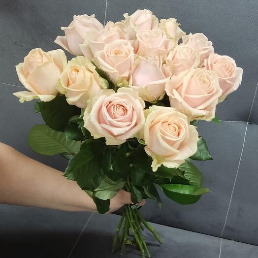 Роза Перл Аваланш 15