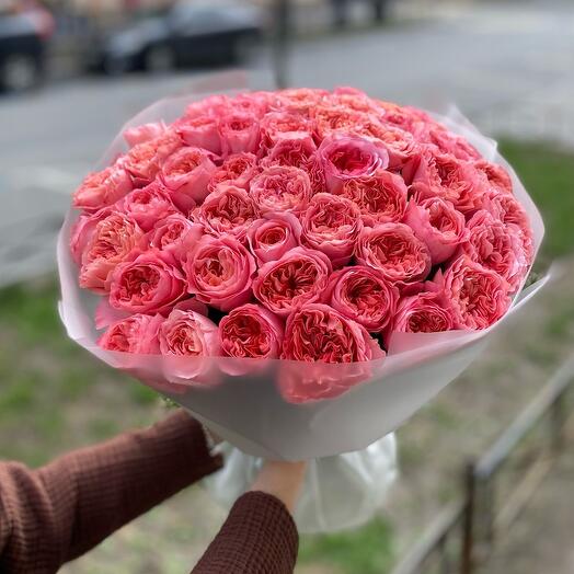 51 пионовидная роза Pink Expression 🤍