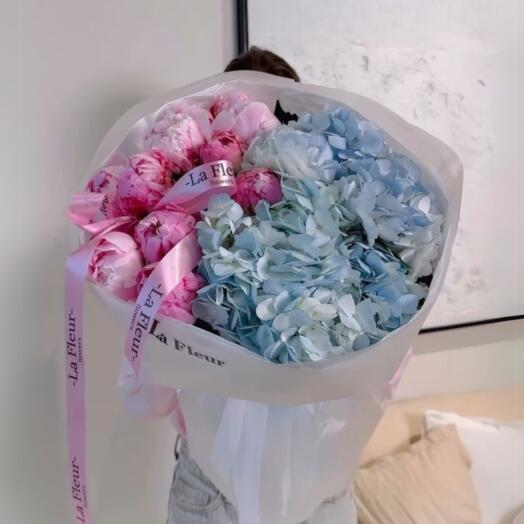 Мечты под небом