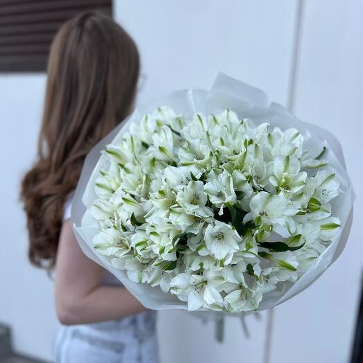 Альстромерии белые 15шт