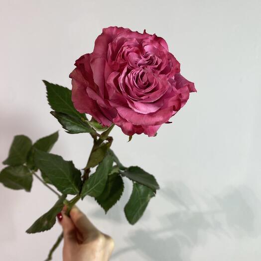 ANMI FLOWERS