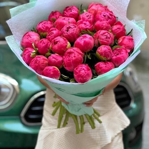Пионы коралл 25 штук