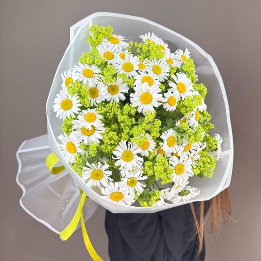 Ромашки полевые, размер S 🌼