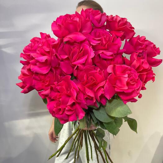 Роза Пинк Флойд 15 шт