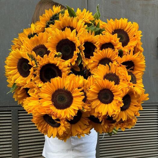 Ramo exuberante de girasoles
