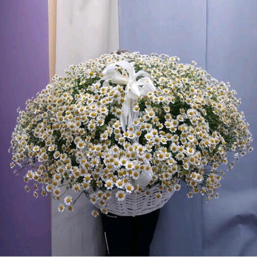 Корзина с цветами из ромашек 51