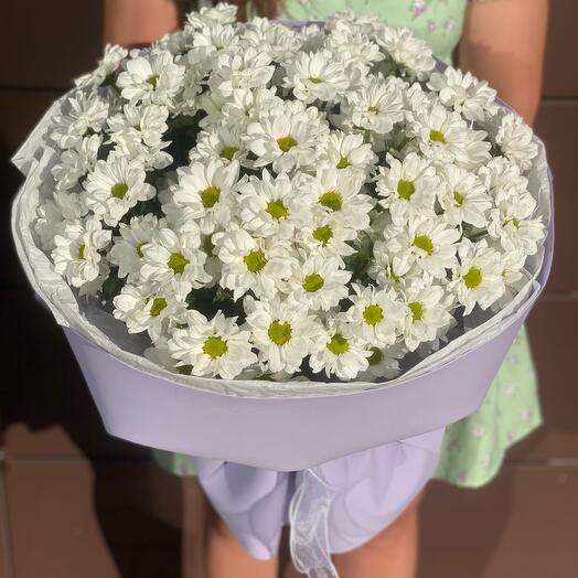 Букет из белых ромашковых кустовых хризантем