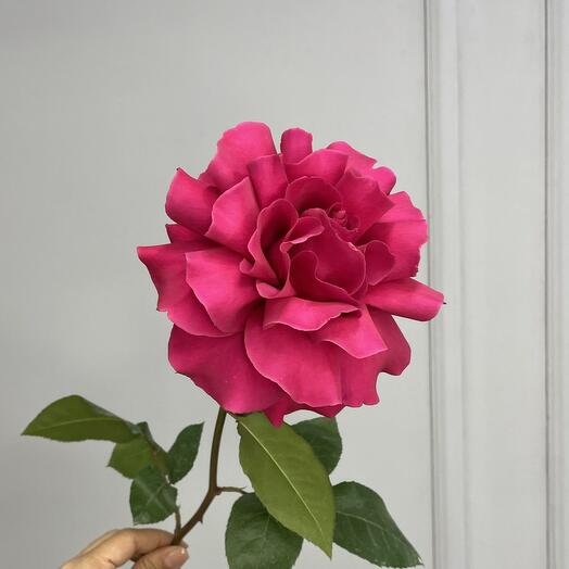 Французская кружевная роза ярко-розовая (фуксия)