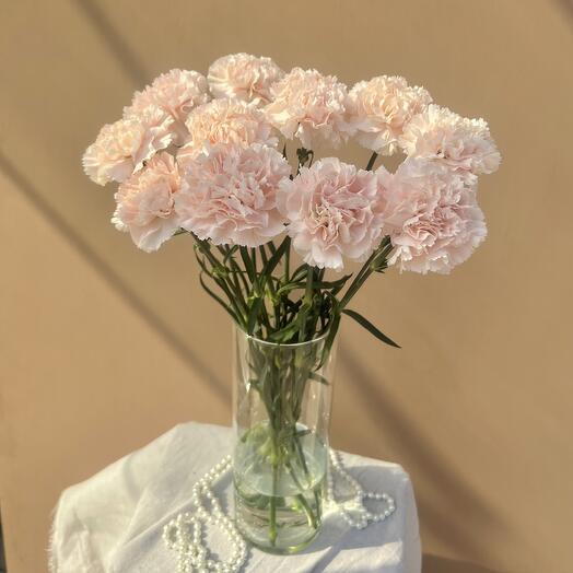 Интерьерная композиция из нежно-розовых диантусов – стойкая красота на долгие дни