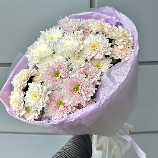 Хризантемы «Зефирка» - нежный микс 🌸