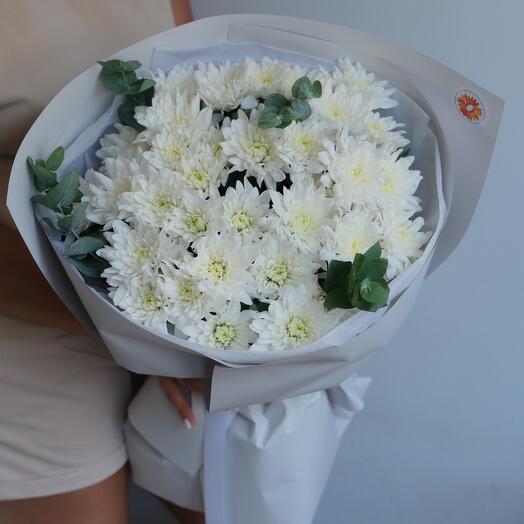 Хризантема