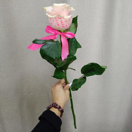 Роза розовая "Я тебя люблю"