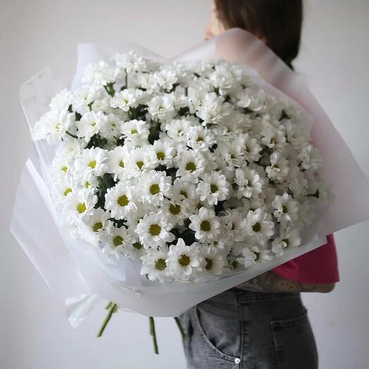 Шик 15